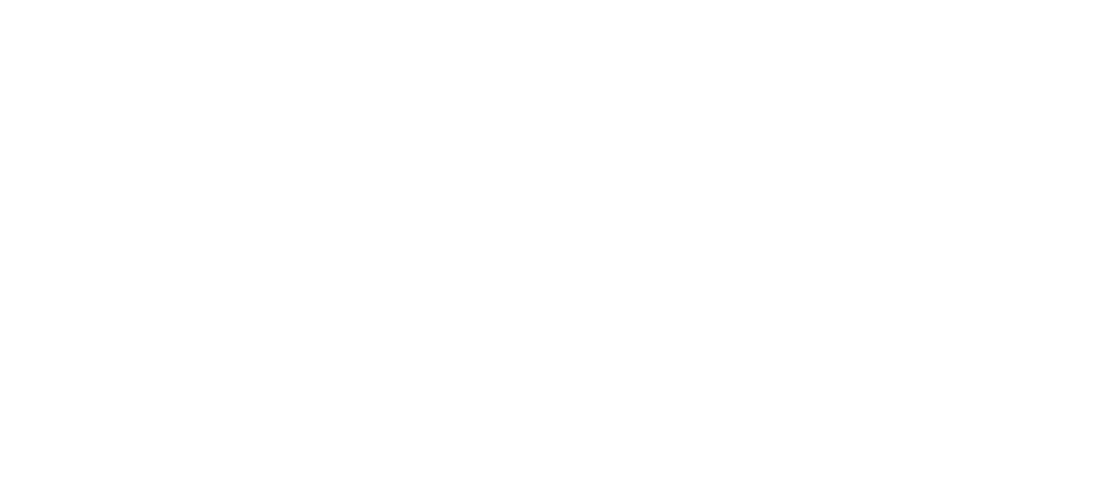 bolinaconsulting